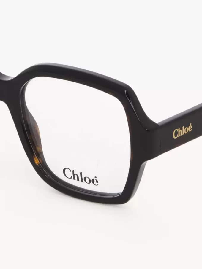 Okulary Gayia Okulary Gayia