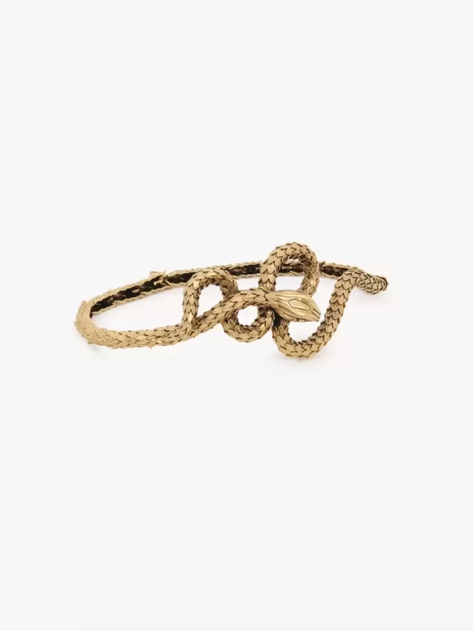 Pasek Chloé Snake