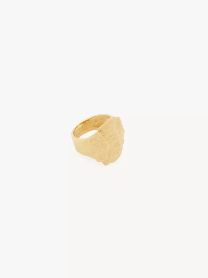 Pierścionek Chloé Shells Pierścionek Chloé Shells